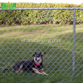 Hot Sale Court Course Chain Link Fence